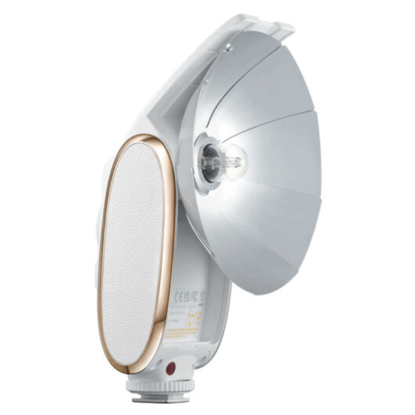 فلاش دوربین گودکس-GODOX LUXSENIOR FLASH GRAY