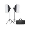 کیت فلاش گداکس-Godox MS-300V